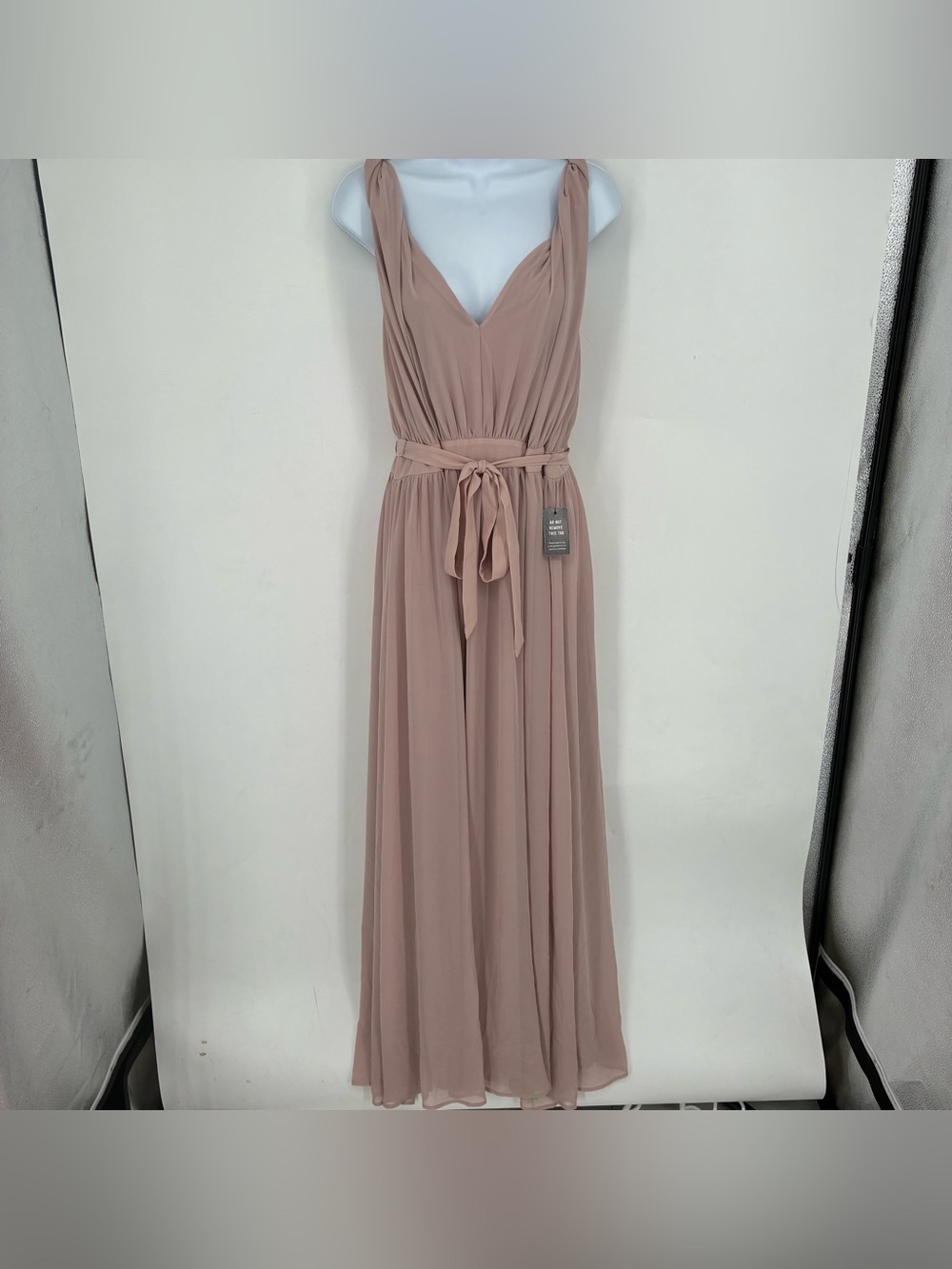 NEW Express Plus Size 16 Pale Pink Maxi Dress Chiffon Sheer Fairy Flowy Formal
